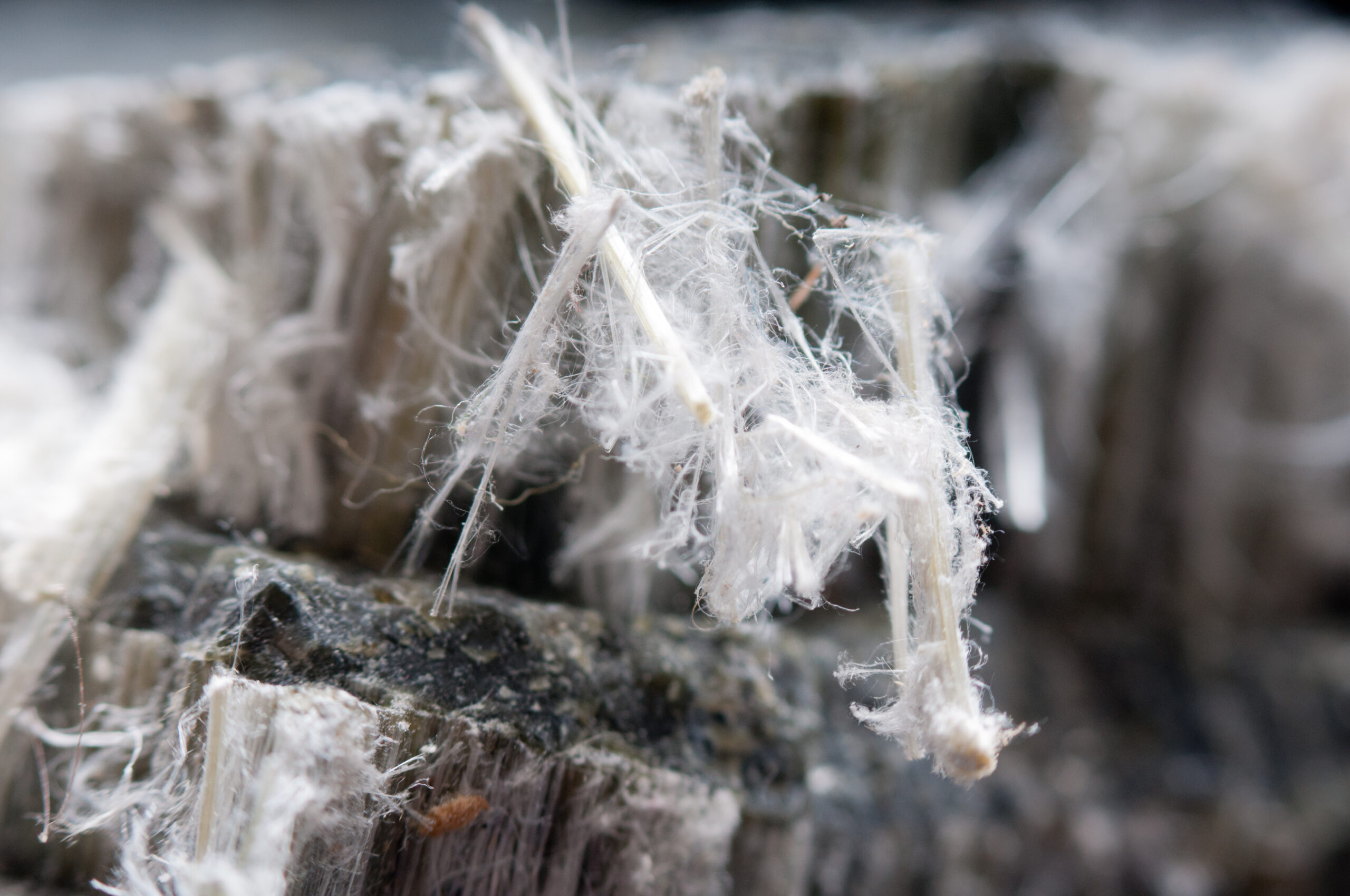 Fibres d'amiante